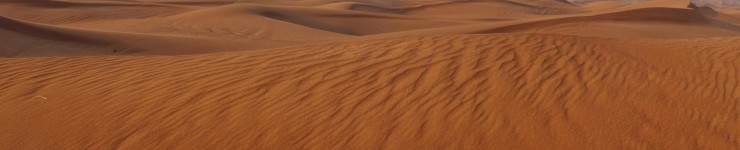 EXIM Jičín, ZÁJEZDY Jičín, s. r. o.