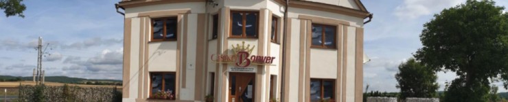CASINO BONVER BOROVY